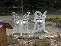 Matthaei Botanical Gardens 2010 0280